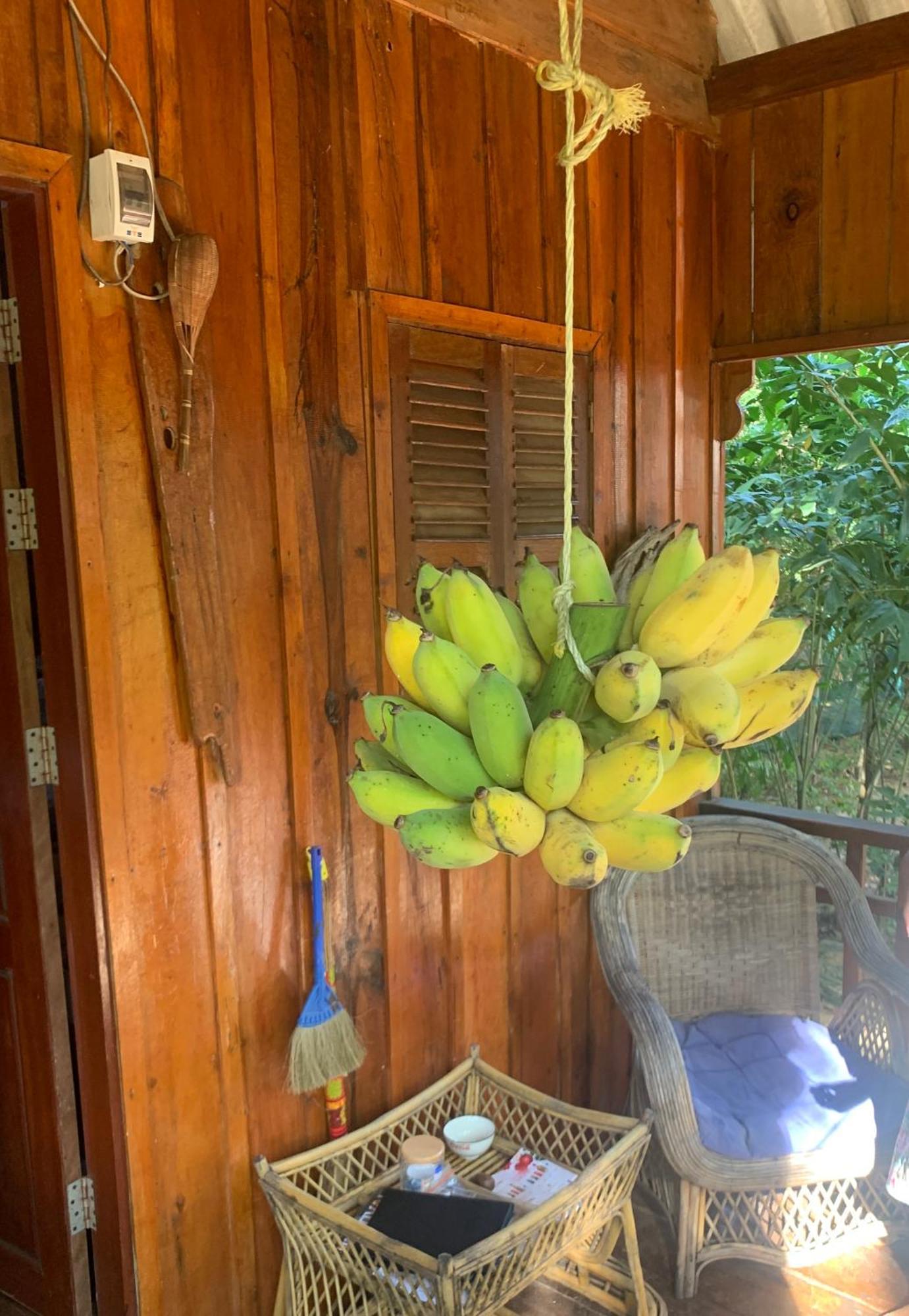 Easy Tiger - M'Pai Bay Beach, Koh Rong Sanloem Exterior foto