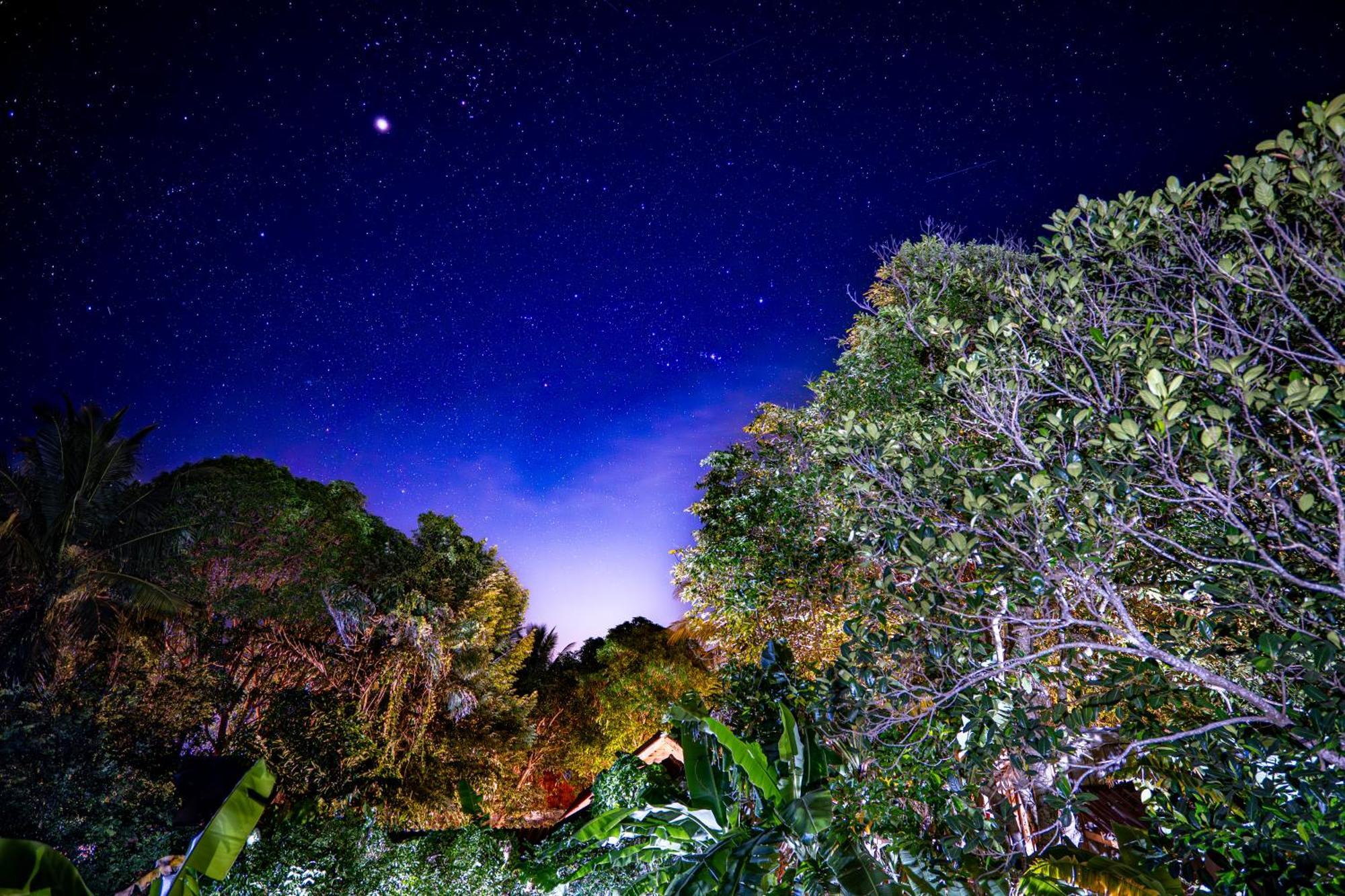Easy Tiger - M'Pai Bay Beach, Koh Rong Sanloem Exterior foto